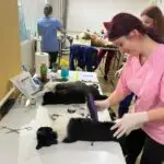 WhatsApp Image 2025-07-29 at 14.25.30 (2)