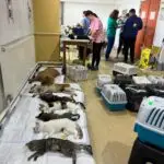 WhatsApp Image 2025-07-29 at 14.25.30 (3)