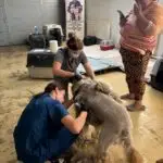 WhatsApp Image 2025-08-08 at 22.15.20